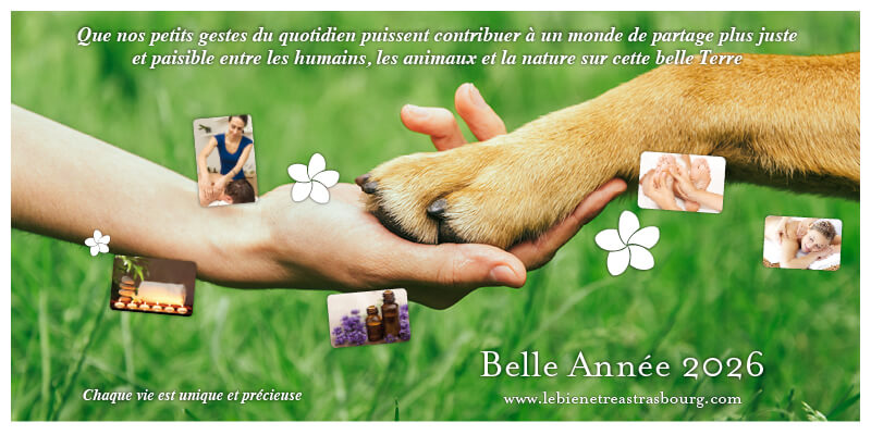 Vœux 2026 Massage Bien-être à Strasbourg